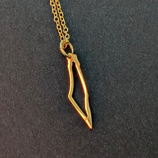 Simple Golden Palestine Map Necklace