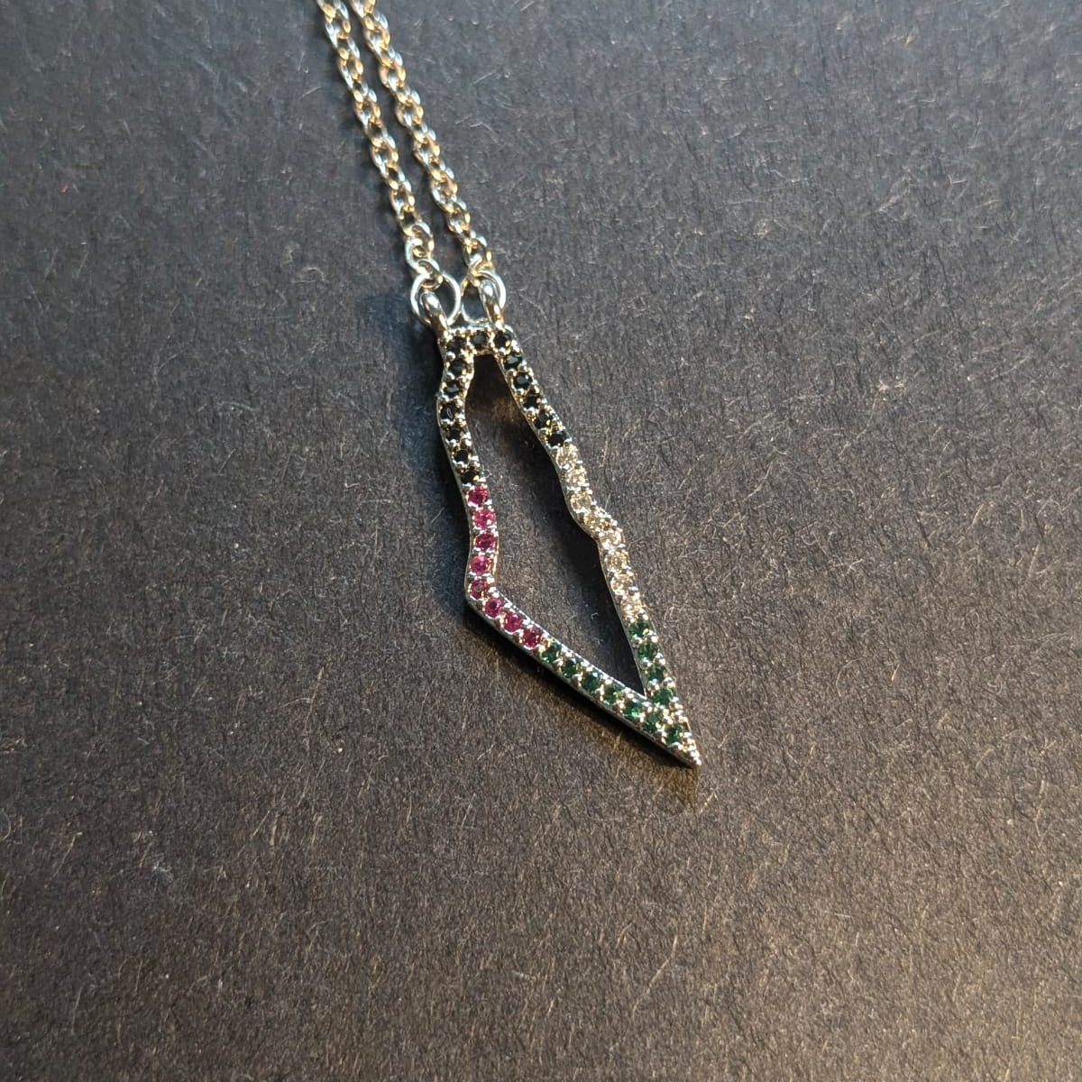 Simple Silver Palestine Map Necklace